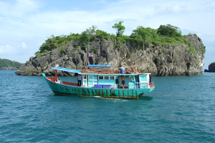 เรือขังเหยื่อ สั่งไว้ 3000 บาท