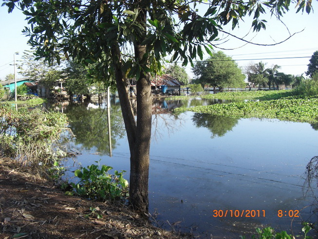 บ้านของเพื่อนบ้านที่น้ำยังท่วมอยู่ :ohh: :ohh: :ohh: