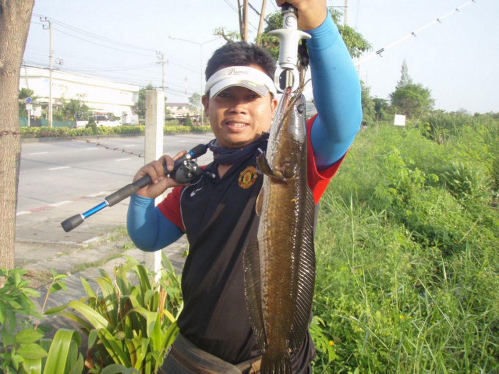 อีกทิดิ๊ กลัวไม่หล่อ..... :kiss: :kiss: :kiss: :kiss: