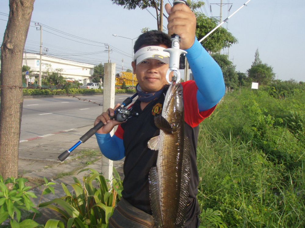 [q][i]อ้างถึง: santi214 posted: 06-11-2554, 20:46:44[/i]

ตามชมครับน้า

ท่าอยู่แถวนครปฐมจะขอติดต
