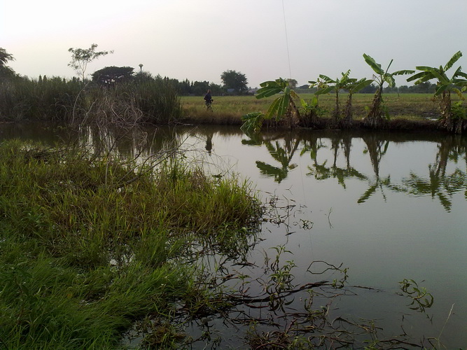 อ้าว.....เวรละ มัวถ่ายรูป เผลอแปปเดียวอจ.เปี๊ยก ไปโน่นละ  :tongue: