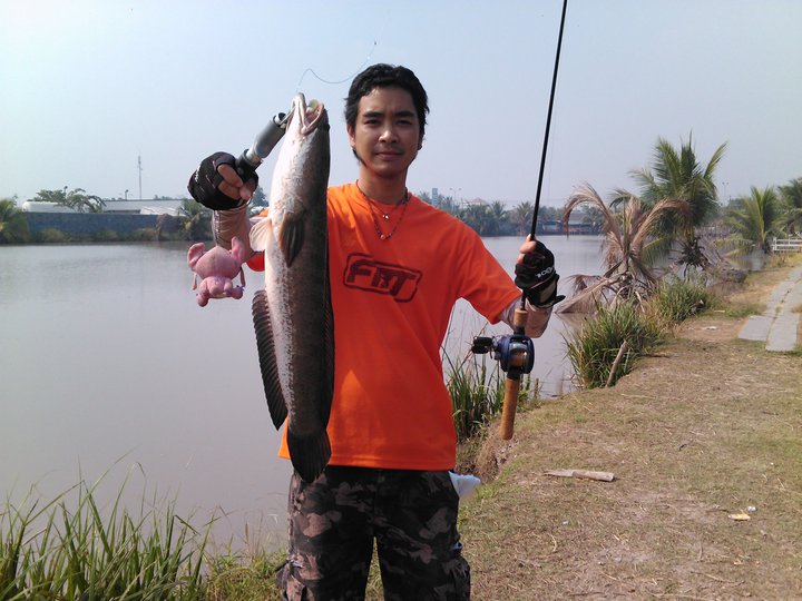 ชุดนี้เป็นอีกชุดที่ผมชอบครับ cortland ประกบกับ bassproshop rick klun signature :cool: