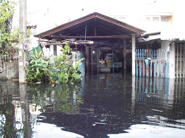 ร้านข้าวแกง... :cry: :cry: :cry: