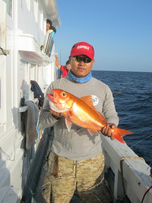 [q][i]อ้างถึง: ศาลายอด posted: 05-11-2554, 10:45:31[/i]

 :cheer: :cheer:[/q]


สวัสดีครับน้าศา