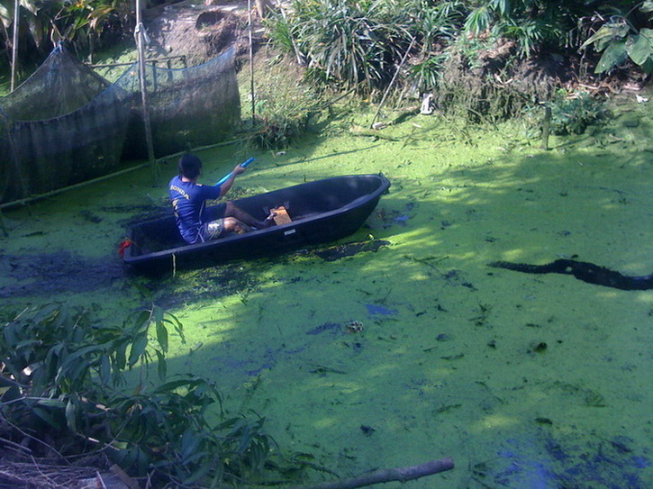 อ่าวพายเรือเล่นซะแล้ว  :laughing: :laughing: