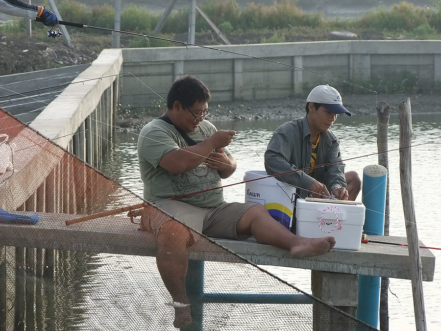 [b]ถ้าพูดถึง ปลาเห็ดโคน ขาดคนนี้ไม่ได้เลยครับ น้ากานต์ (KABUTO) ครับ อิอิ[/b]
 :grin: :grin: :grin: