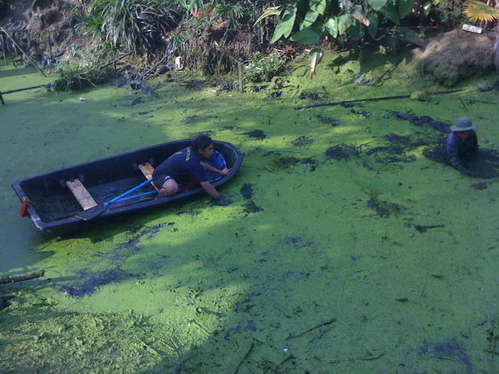 พายเรือ ในเลน 555   จับยากครับ  :grin: