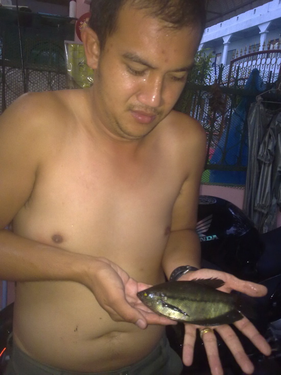 แก๊งปลาสลิด...ท้ายซอยเศรษฐี...!!!