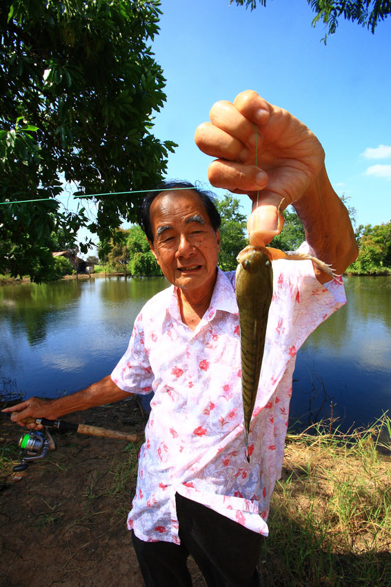 ตัวนี้พ่อผมเรียกให้รีบไปถ่ายรูป ไม่ใช่เพราะความใหญ่โตอะไร 