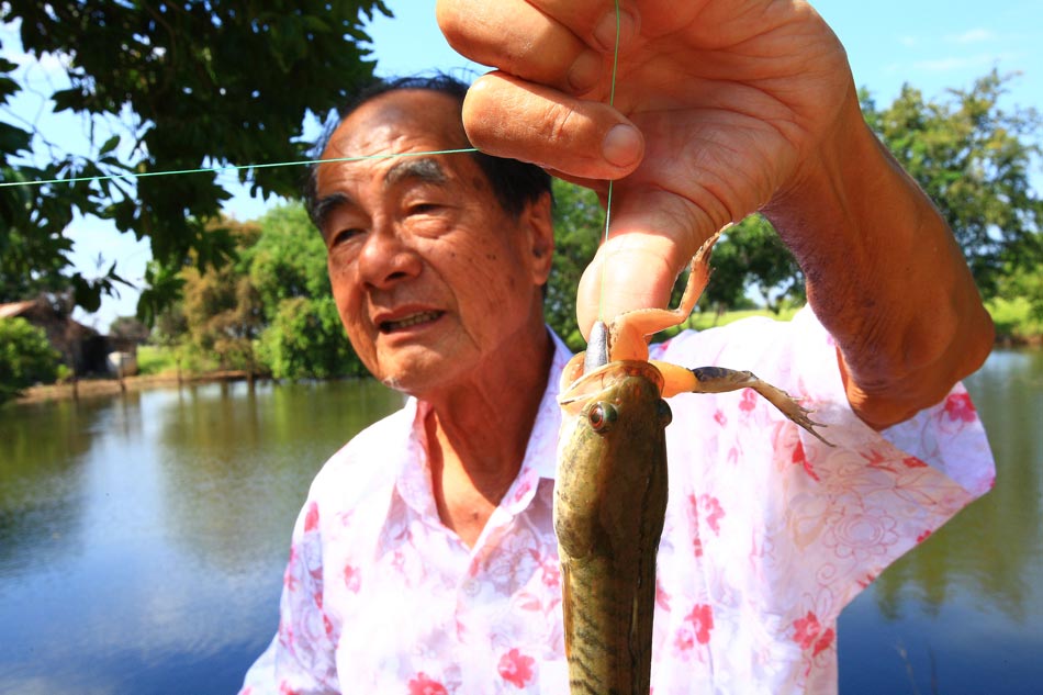 เหยื่อล่อ ใหญ่กว่าตัวปลา ที่เข้ามากินซะอีก  :laughing: :laughing: :laughing: