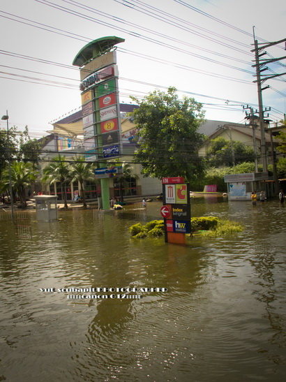 อย่างที่เห็นครับ  ถึงกันหมด  แต่เห็นว่ายังเปิดอยู่เลยครับ  ชาวบ้านก็ยังพอหาอะไรประทังไปได้