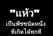 มวลน้ำเริ่มลดลงสถานะการเริ่มคลี่คลายแล้ว   
ประกาศฉบับที่  2  
จากเหตุการความรุนแรงมรสุมพาดผ่าน(คอ