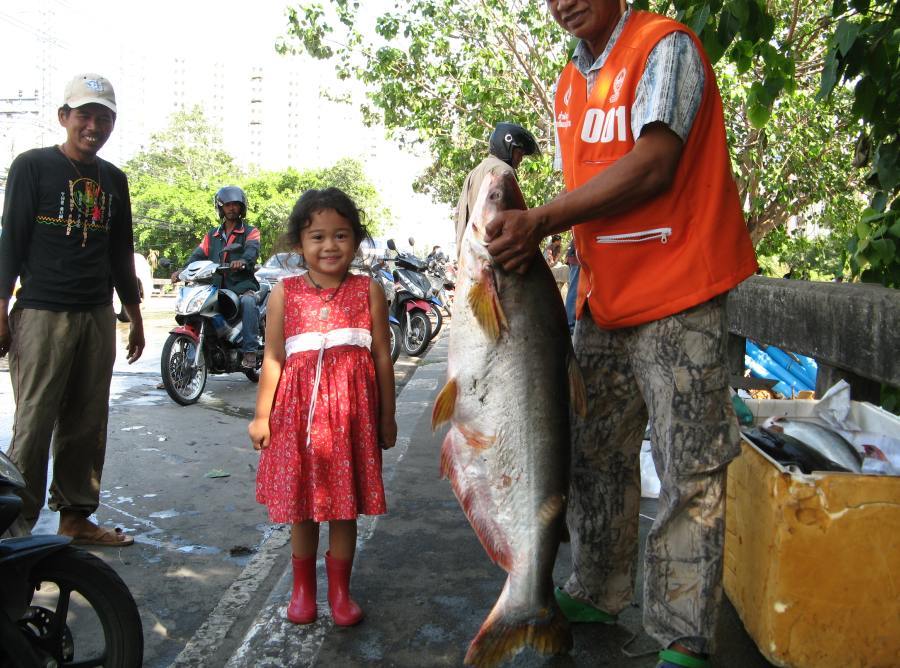 ผลงานนำมาเทียบ กับลูกสาวพี่เค้าครับ :grin: