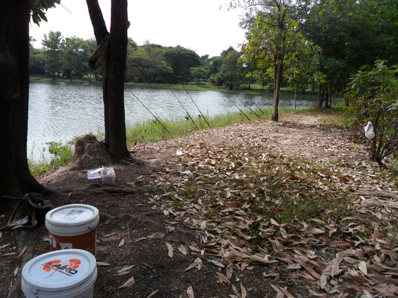 รวบลัดตัดตอนมาถึงที่ไม่รอรี ตีเหยื่อลงเลยเวลาน้อยครับ บรรยากาศพอได้ เป็นบ่อเลี้ยงปลาเก่า ยังพอมีบิ๊ก
