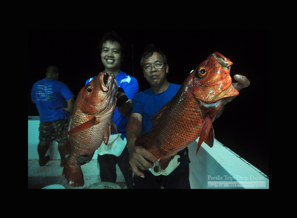 



พี่เต่า ลงเรือ POLARIS  ONE   ครั้งแรกครับ

ท่าทางจะประทับใจไม่น้อย







  :grin