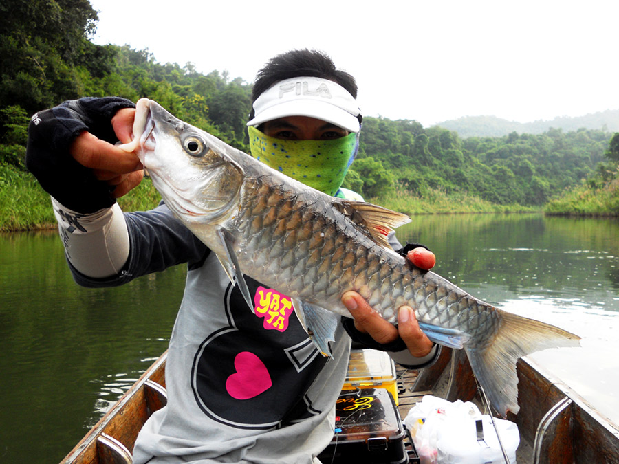 [q][i]อ้างถึง: fishingjoke posted: 14-11-2554, 09:11:01[/i]

++++ครับ อยากไปบ้าง :love: :love: :lo