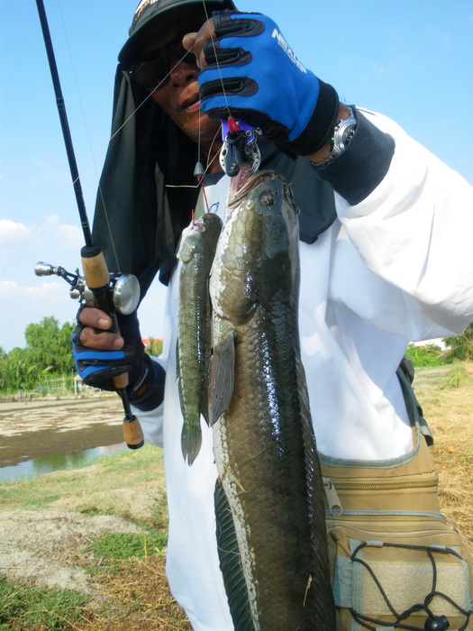 อารัยฟะ......ปู่กะเหลน
 :laughing: :laughing: :laughing: :laughing: