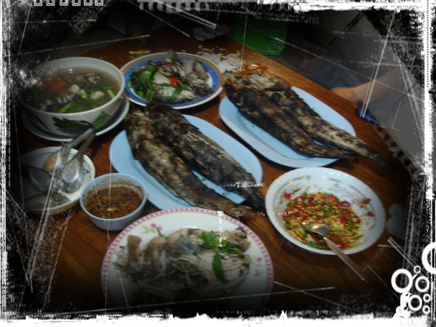 [q][b][center]

ทริปแฮปปี้มากมายครับ....กับการเปิดฤดูการไล่ล่าหาความมันส์กับปลาช่อน..ดุๆ   เพลินๆ 
