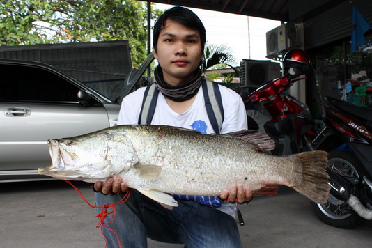 หมายนี้ผมไปบ่อย หมายเด็ดผมเลยละ ^^

ตัวนี้ก็หมายนี้เช่นกัน

http://www.siamfishing.com/content/v