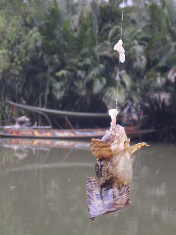 ย่าดุกๆๆๆ