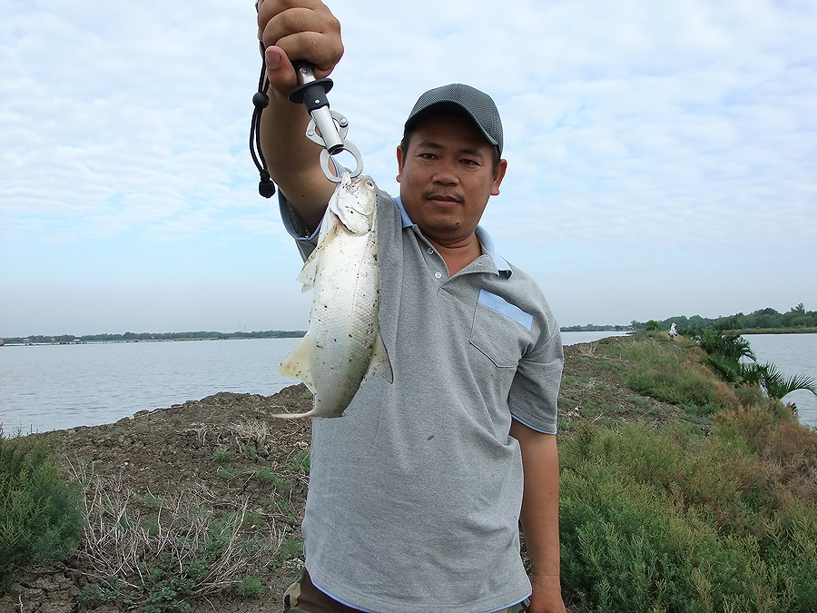 [b]รูปข้างบน หน้าดำไปหน่อยครับ แถมอีกซักรูปแล้วกันครับ อิอิ[/b]
 :cool: :cool: :cool: :cool: :cool: