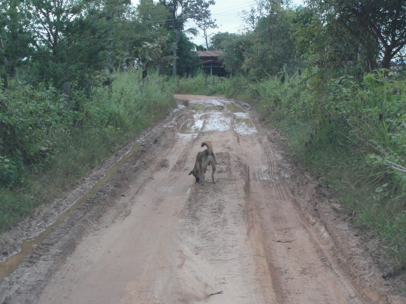 ถนนยังเละอยู่