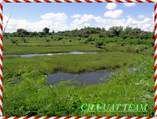 หมายใกล้ๆกันแบบนี้มีเยอะมากครับ :cheer: :cheer: :cheer: :cheer: :cheer: