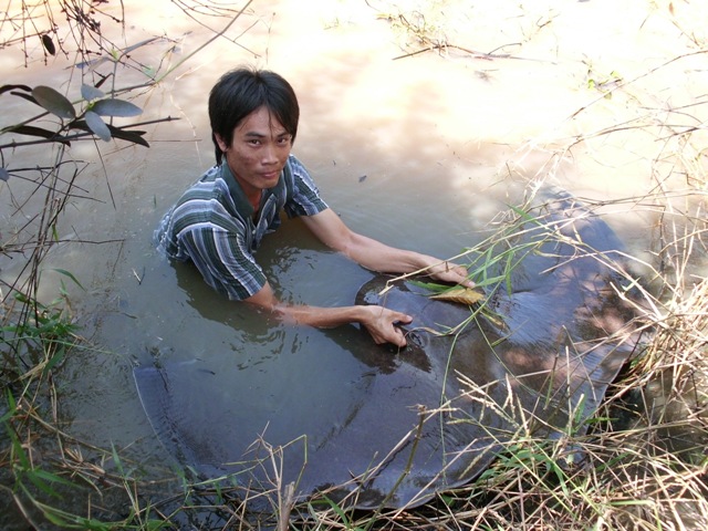 ไปช่วยราหู ที่บ้านสร้าง