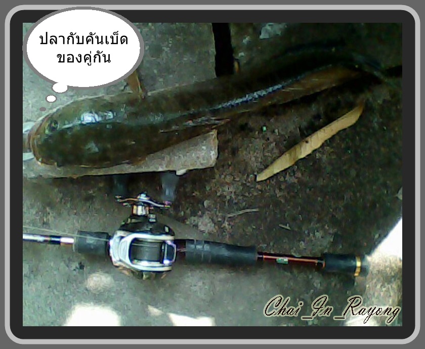 โดนอี1เป็น5