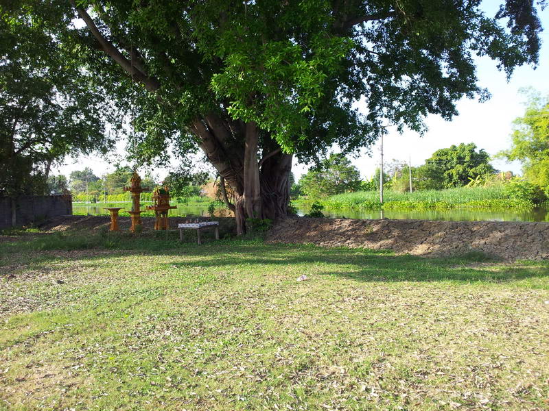 สภาพคันดินกันน้ำด้านหลังบ่อ