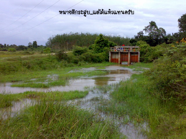 จาก น้ำ เค็ม มาเป็น จืด กันบ้างนะครับ

 :grin: :grin: :grin: :grin: