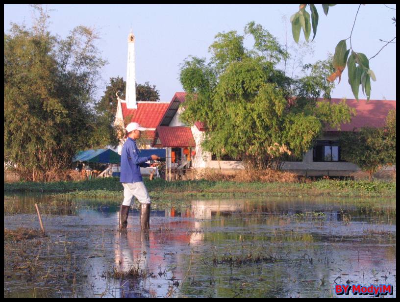  :cheer: :cheer: :cheer: [center]..นิด"มดยิ้ม" ส่งสายละครับ อิอิ..[/center]