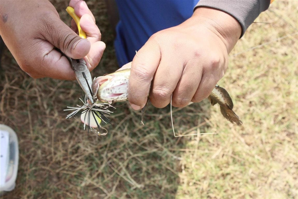 โตน้อยหลาย บ่โดนตา
ปล่อยครับผม