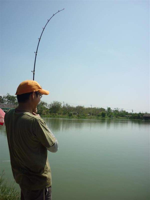 สลับด้วยเล้งบ้าง
