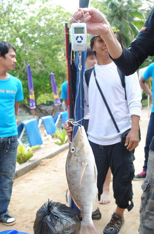 ปลาหัวเสี้ยม
