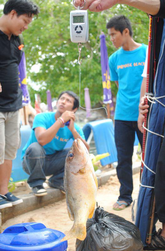 อังเกย 