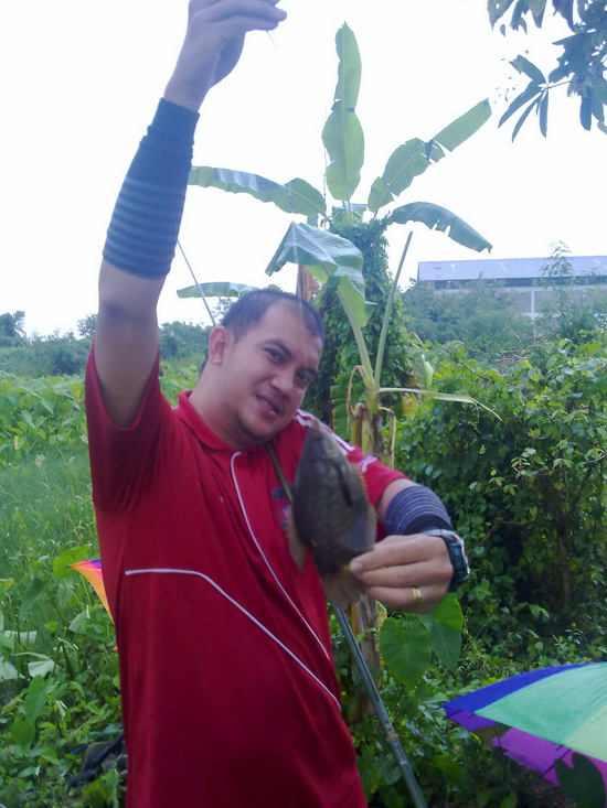หยุดไม่อยู่ครับโปรหมูครับ...... :cheer: