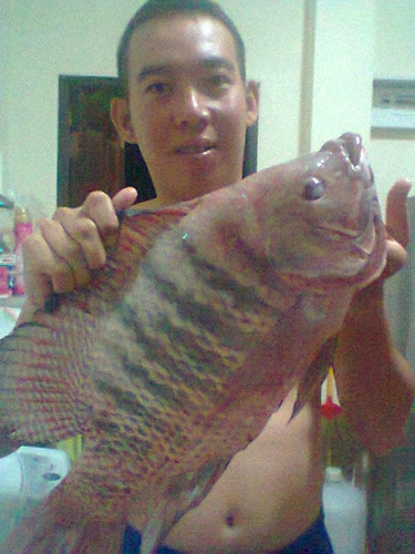 ***อีกมุมครับ***
 :cheer: :cheer: :cheer: :cheer: :cheer: :cheer: :cheer: :cheer: :cheer: :cheer: