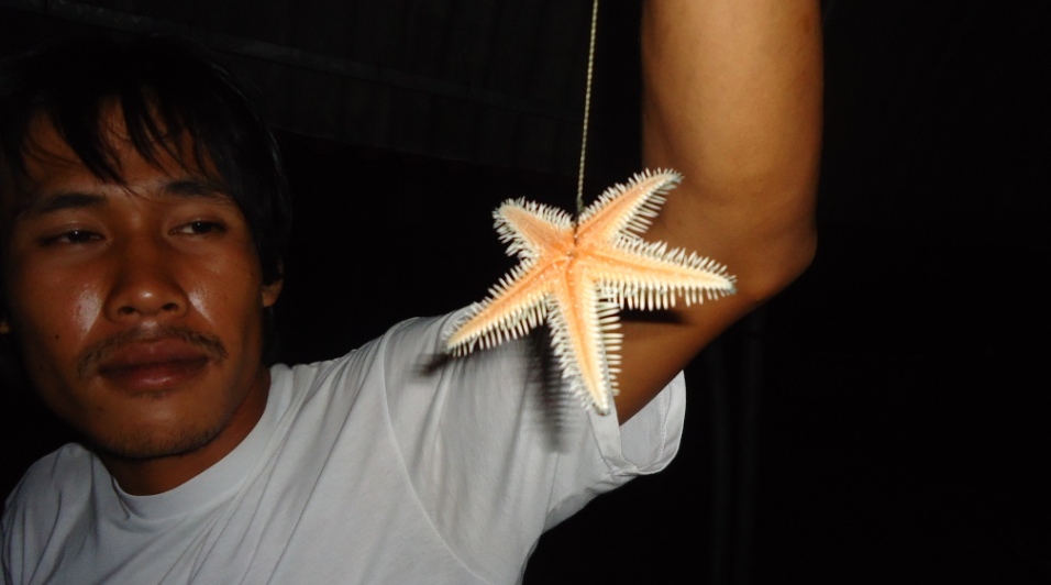 ตัวที่ 2 :grin: