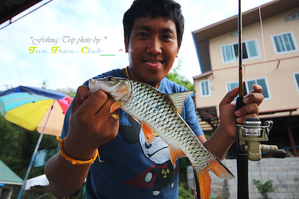 


 [b]กระสูบไซรนี้ยังกวนไม่เลิกครับ..[/b]       :cheer: