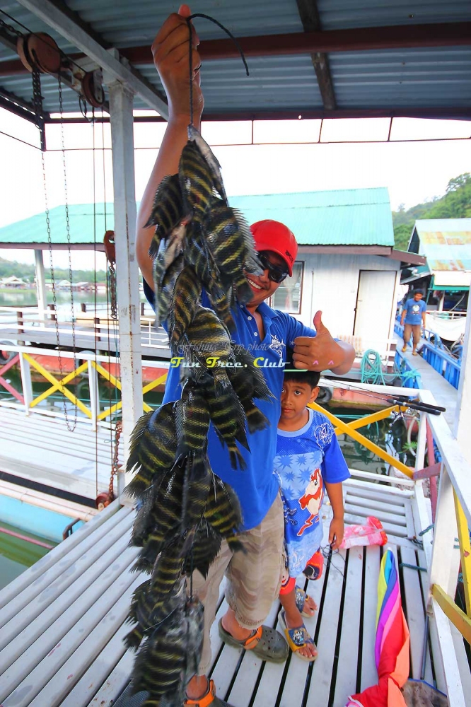 



 [b]เยอะเหมือนกันนะเนีย..ไม่รวมปลากระสูบกับหมอตะกับนะ..อันนี้บบัตเตอรล้วนๆ..[/b]      :laugh