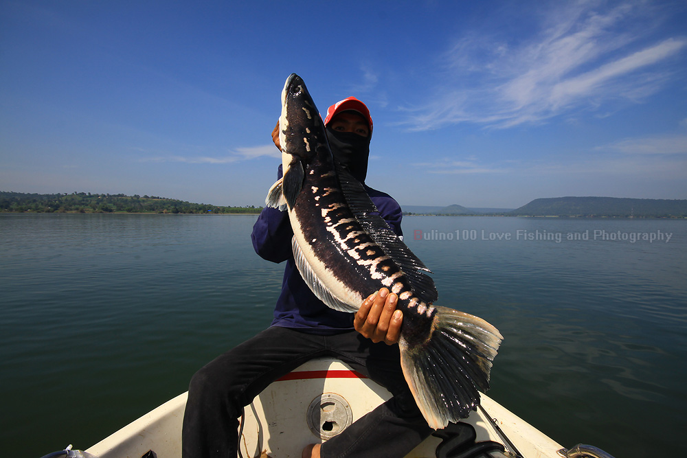 สำเร็จแล้วครับน้องป๊อบกับสิ่งที่น้องมันเฝ้ารอคอยมาเป็นแรมปีครับ
 :cheer: :cheer: :cheer: :cheer:
