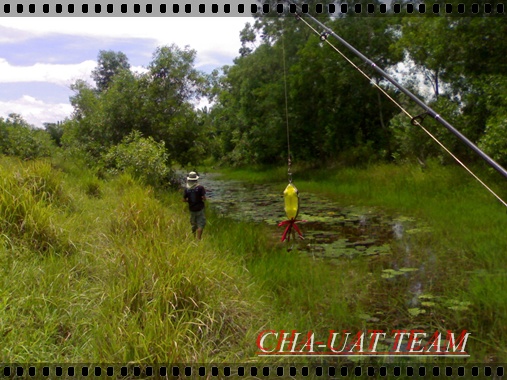แถวนี้มีแต่ชะโดครับ :cheer: :cheer: :cheer: :cheer: :cheer:
