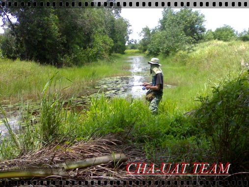 ช่วงกลางๆหมายครับ :cheer: :cheer: :cheer: :cheer: :cheer:
