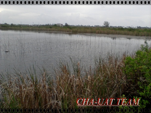 นี่ก็เป็นหมายเด็ดอีกหมายครับ(นครศรีฯ) :cheer: :cheer: :cheer: :cheer: :cheer: