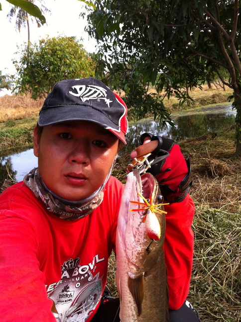 อีกซักรูป