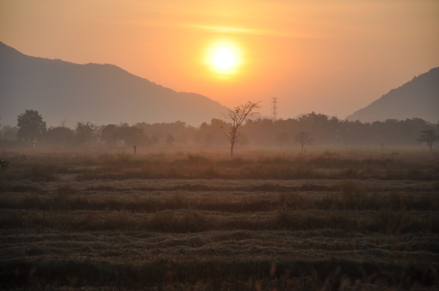 ตก ช่อน หนองจอก ถึง อ.ไพสาลีเลยนะจะบอกให้