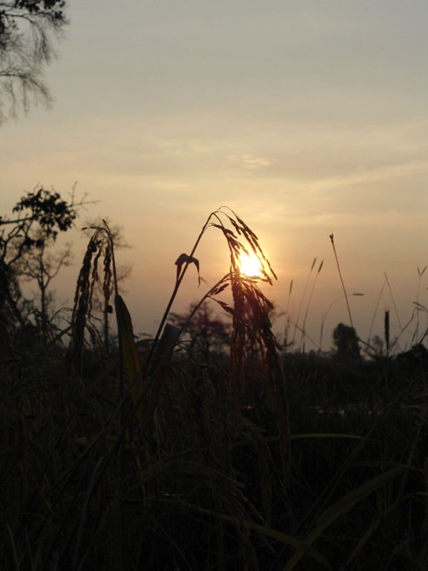 อีกภาพครับ  :umh: :umh: :umh: