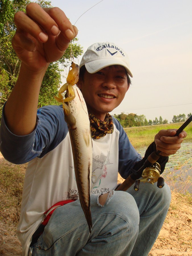 [q] สุดยอดเลยจร้า.....หะแหร่มเรยยยยยยยย..น้าโต..  [/q] 

สวัสดีครับน้า..ไข่นุ้ย .สบายดีมัยครับ...ว