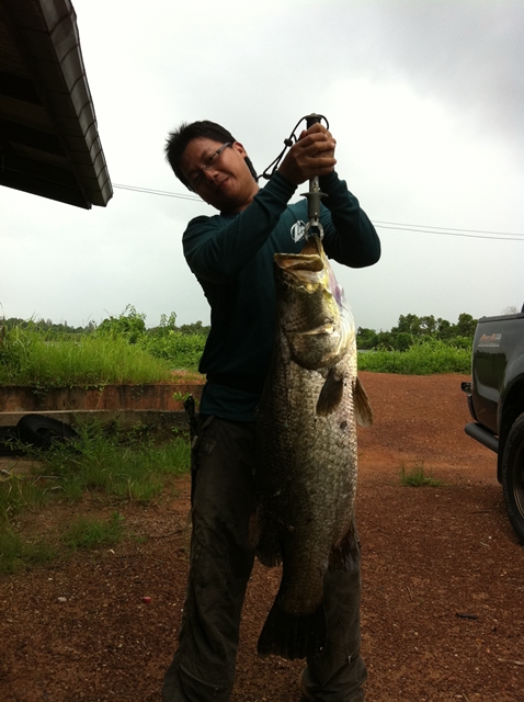 สมาชิกใหม่ครับ รายงานตัวครับ